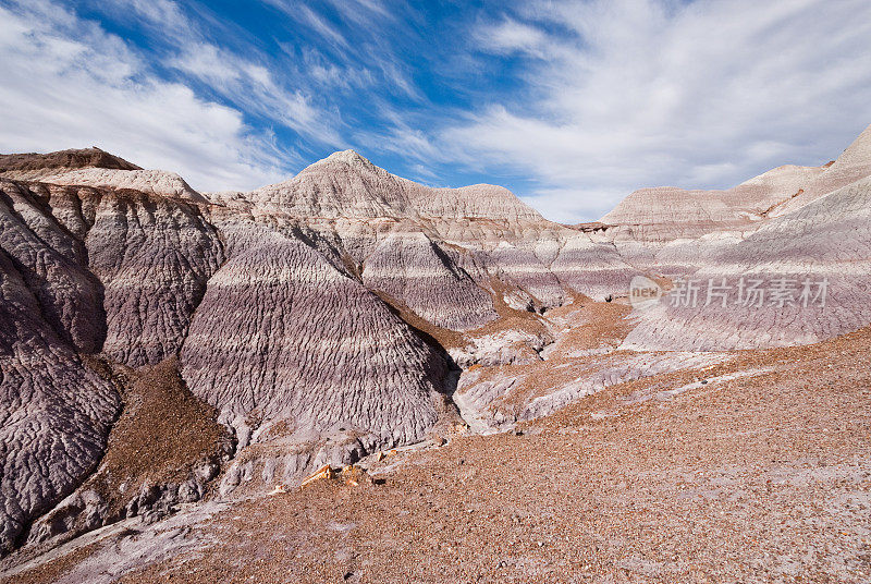 Blue Mesa的Badlands Formation